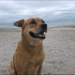 Meet your Posher, Laken